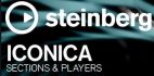 Iconica Steinberg Logo